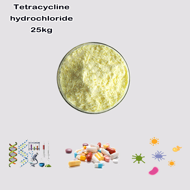 China Factory Supply High Quality Tetracycline HCL CAS 64-75-5 China Factory Supply High Quality Tetracycline HCL CAS 64-75-5