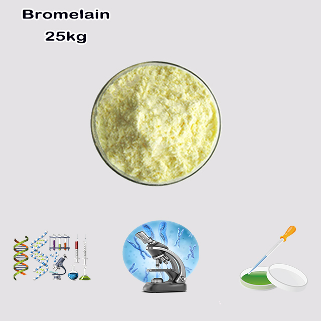 China Factory Supply High Quality Best Price Bromelain CAS 37189-34-7 China Factory Supply High Quality Best Price Bromelain CAS 37189-34-7