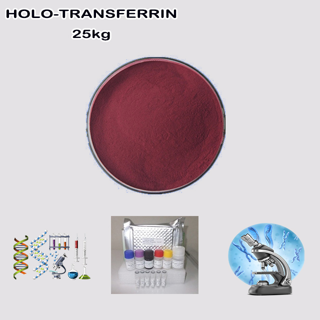 China Factory Supplier High Purity Wholesale Price Holo-transferrin CAS 11096-37-0 China Factory Supplier High Purity Wholesale Price Holo-transferrin CAS 11096-37-0