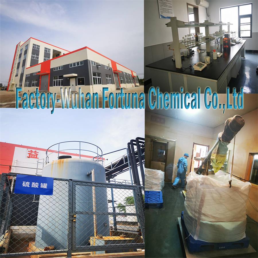 Factory-Wuhan_Fortuna.jpg