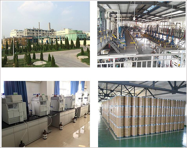 Fortunachem Factory Fortunachem Factory