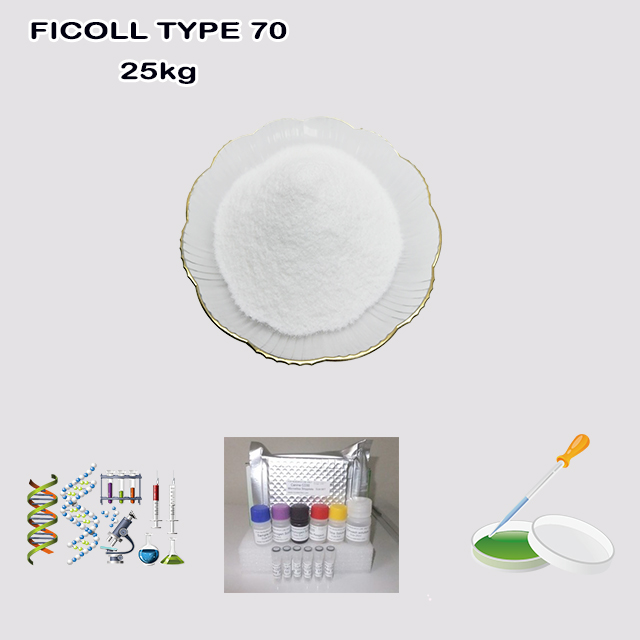 China Supplier High Quality Best Price FICOLL TYPE 70 CAS 72146-89-5 China Supplier High Quality Best Price FICOLL TYPE 70 CAS 72146-89-5