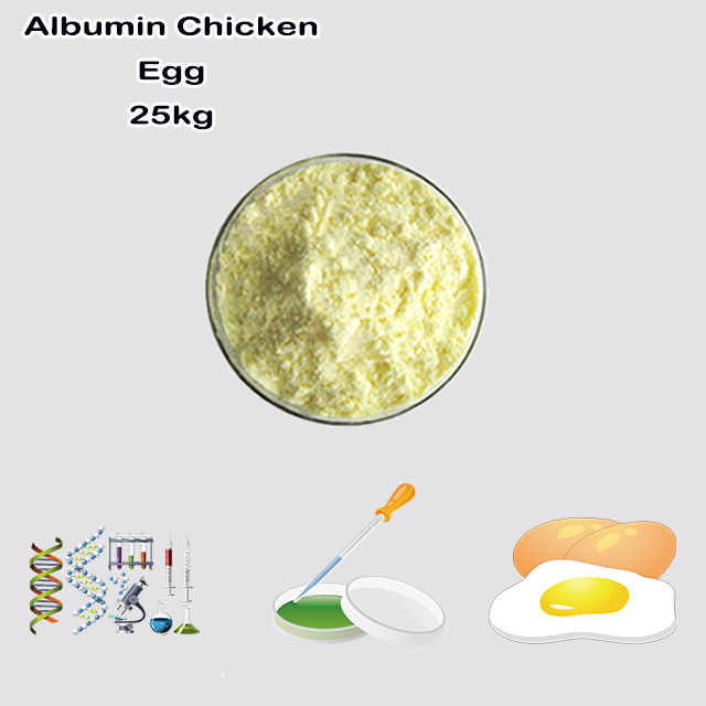 China Supplier High Quality Best Price Ovalbumin Egg CAS NO 9006-59-1 China Supplier High Quality Best Price Ovalbumin Egg CAS NO 9006-59-1