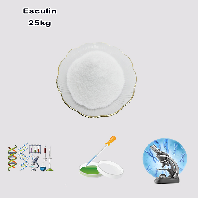 China Supplier High Quality Best Price Natural Esculin CAS 531-75-9 China Supplier High Quality Best Price Natural Esculin CAS 531-75-9