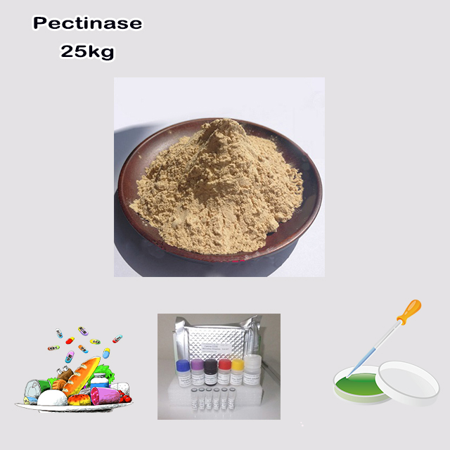 China Supplier High Quality Best Price Pectinase CAS 9032-75-1 for bio-enzyme(biological enzyme) China Supplier High Quality Best Price Pectinase CAS 9032-75-1 for bio-enzyme(biological enzyme)