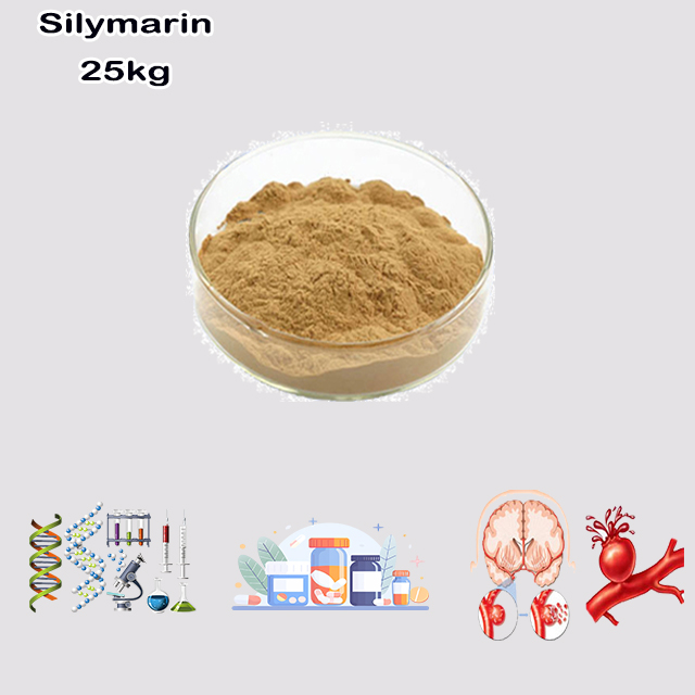 China Supplier High Quality Best Price Silymarin/Milk Thistle CAS 65666-07-1 China Supplier High Quality Best Price Silymarin/Milk Thistle CAS 65666-07-1