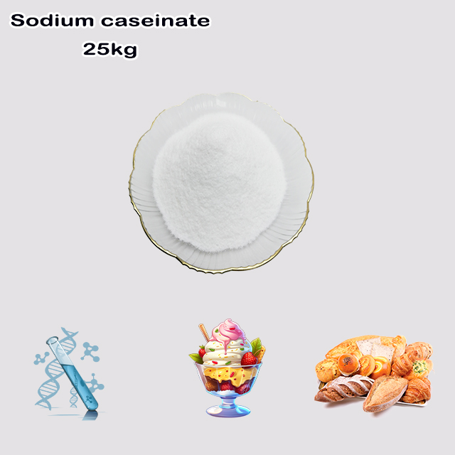 Factory Supply High Quality Best Price Food Additives Sodium Caseinate CAS 9005-46-3 Factory Supply High Quality Best Price Food Additives Sodium Caseinate CAS 9005-46-3