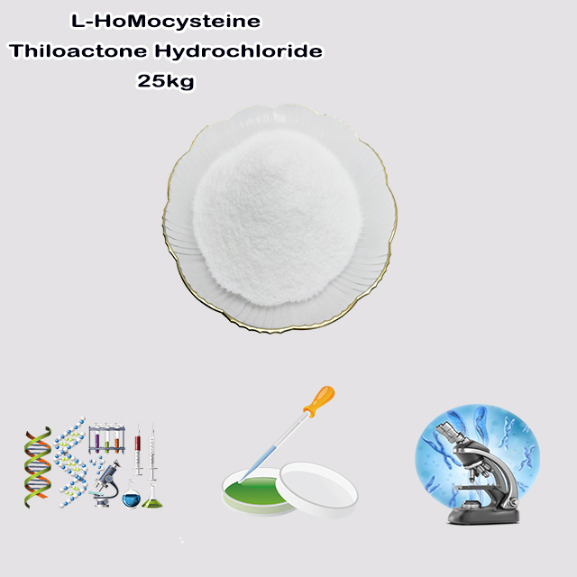 China Supplier High Quality Good Price L-HoMocysteine Thiloactone Hydrochloride CAS 31828-68-9 China Supplier High Quality Good Price L-HoMocysteine Thiloactone Hydrochloride CAS 31828-68-9