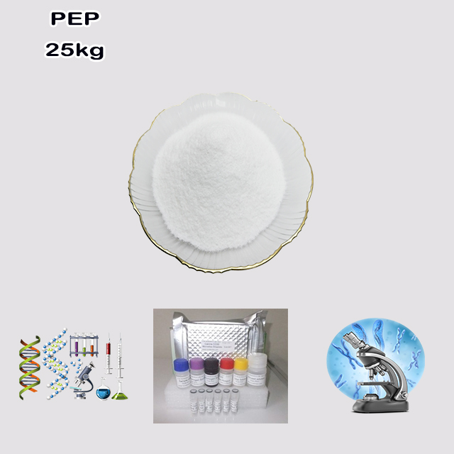 China Manufacturer Supply High Quality Wholesale Price PEP CAS 35556-70-8 China Manufacturer Supply High Quality Wholesale Price PEP CAS 35556-70-8