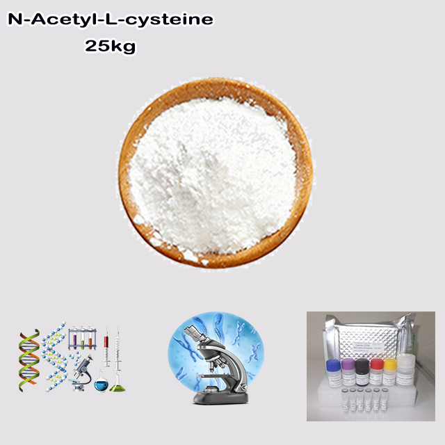 China Factory Supply High Quality N-Acetyl-L-cysteine CAS 616-91-1 for biochemical research China Factory Supply High Quality N-Acetyl-L-cysteine CAS 616-91-1 for biochemical research