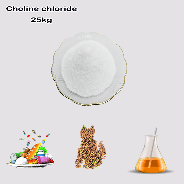 China Supplier High Quality Best Price Choline Chloride CAS 67-48-1 for Feed Additives China Supplier High Quality Best Price Choline Chloride CAS 67-48-1 for Feed Additives