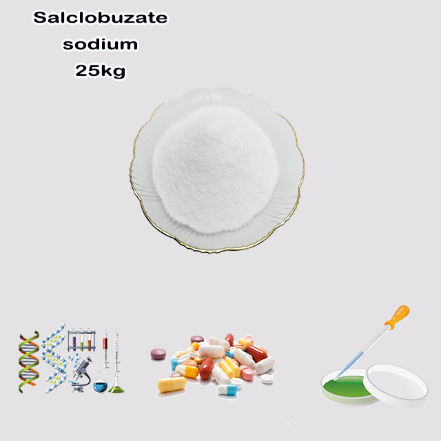 China Source Factory Supply High Quality Best Price Salclobuzate sodium CAS 387825-07-2 China Source Factory Supply High Quality Best Price Salclobuzate sodium CAS 387825-07-2